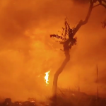 Incendiu puternic Buzoești (4)