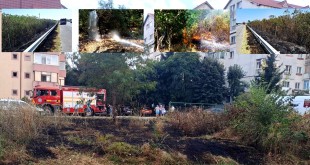 incendiu vegetatie arges (1)