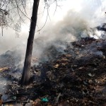 incendiu vegetatie arges (6)