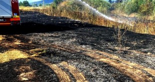 Incendiu de vegetație uscată