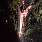 Incendiu de vegetație uscată în comuna Buzoești (2)