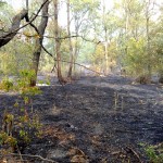  Incendiu la un utilaj în comuna Suseni, satul Budești (2)