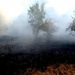  Incendiu la un utilaj în comuna Suseni, satul Budești (5)
