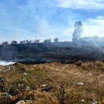 incendii de vegetație uscată (5)