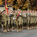 25 octombrie Ziua Armatei Române (1)