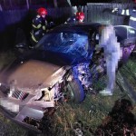 Accident cu trei victime în comuna Merișani (2)