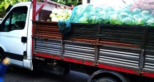 Amendat când vindea legume direct din mașină