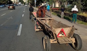 Atelaje cu tracțiune animală confiscate