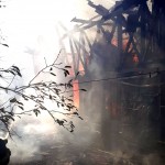 incendii vegetatie uscata arges (6)