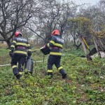 Incendiu la o casă bătrânească din localitatea Mioarele (5)