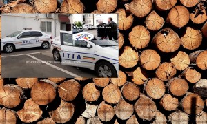 arestat furt lemne arges