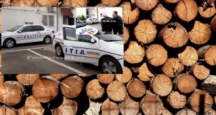 arestat furt lemne arges