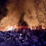 Incendiu vegetația uscată (1)