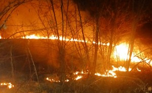 Incendiu vegetația uscată (3)