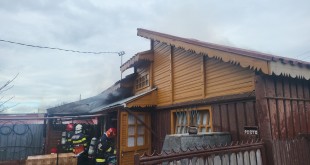 Incendiu într-o gospodărie din municipiul Pitești, strada Bănănăi