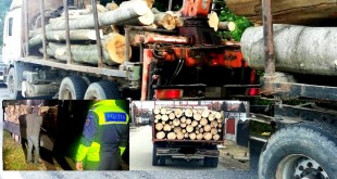 Sancțiuni-și-confiscări-de-material-lemnos