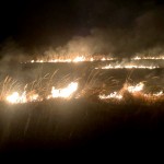 incendii de vegetație arges (2)