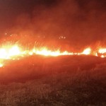 incendii de vegetație arges (4)