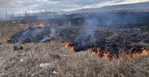 incendiu vegetatie uscata arges (3)