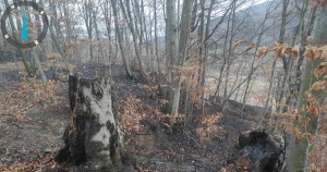 17 hectare de teren au fost mistuite de flăcări (3)