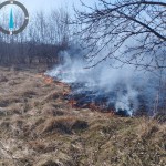 17 hectare de teren au fost mistuite de flăcări (4)