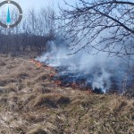 17 hectare de teren au fost mistuite de flăcări (5)
