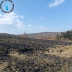 17 hectare de teren au fost mistuite de flăcări (6)