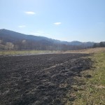 17 hectare de teren au fost mistuite de flăcări (8)