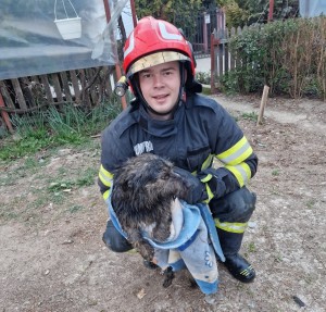 Cățelușe salvată de pompierii argeșeni