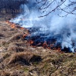 STOP incendiilor de vegetație uscată (1)