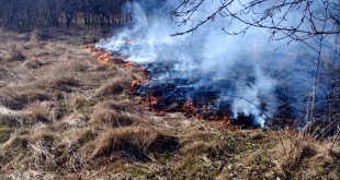 STOP incendiilor de vegetație uscată (1)