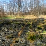 STOP incendiilor de vegetație uscată (4)