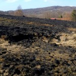 STOP incendiilor de vegetație uscată (5)
