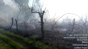Incendiu izbucnit la vegetația uscată din comuna Bogați (1)