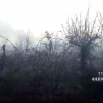 Incendiu izbucnit la vegetația uscată din comuna Bogați (2)
