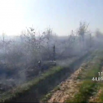 Incendiu izbucnit la vegetația uscată din comuna Bogați (3)