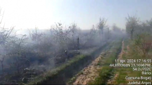 Incendiu izbucnit la vegetația uscată din comuna Bogați (3)