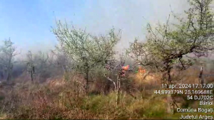 Incendiu izbucnit la vegetația uscată din comuna Bogați (4)