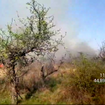 Incendiu izbucnit la vegetația uscată din comuna Bogați (5)