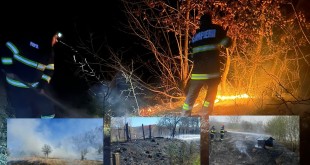 incendii de vegetație (4)