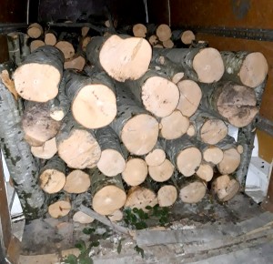 material lemnos ilegal