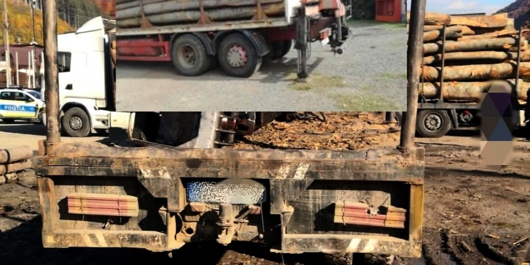 transport-de-lemne
