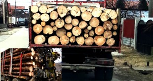 transport-de-material-lemnos-confiscat