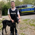 Mânz salvat de poliţiştii de la Protecţia Animalelor (1)