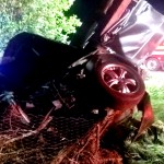 accident mortal davidesti (1)