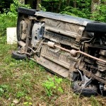 auto rasturmat zona gradina zoo (1)