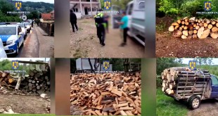 perchezitii furt lemne arges