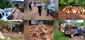 perchezitii furt lemne arges