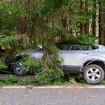 Accident cu patru victime pe Transfăgărășan (1)