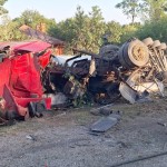 Accident rutier produs în localitatea Lunca Corbului, DN65, (2)